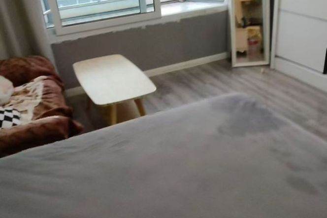 1BR Apartment near Jinshajiang Rd Metro (L3/L4/L13)