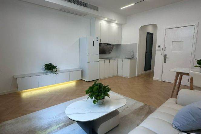 Spacious 1BR Apartment near South Huangpi Road Metro (L1/L14)