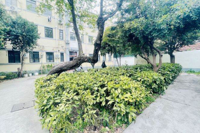 Spacious 2BR Apartment in Old Xuhui (L1/L10)