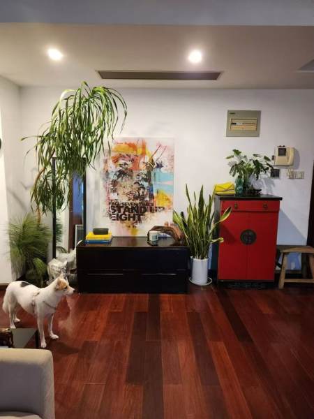 Housing image — Living Room