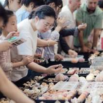 CCC Shell Carnival
