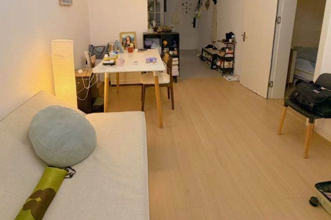 1BR Apartment in Old Xuhui (L10/L11)