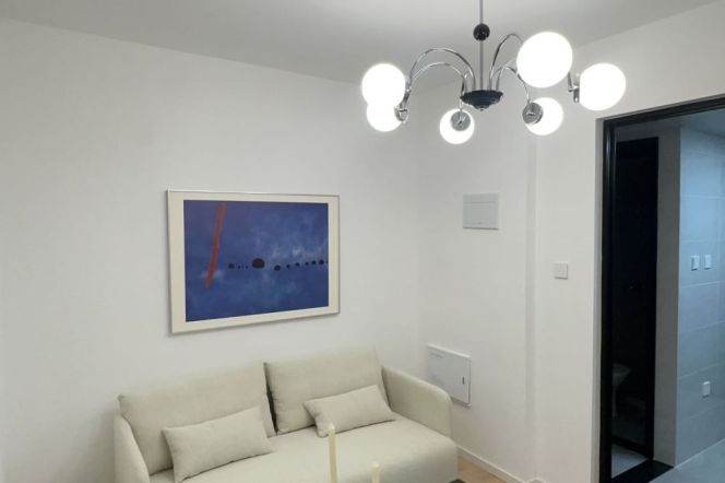 1BR Apartment near Caobao Rd Metro (L1/L12)