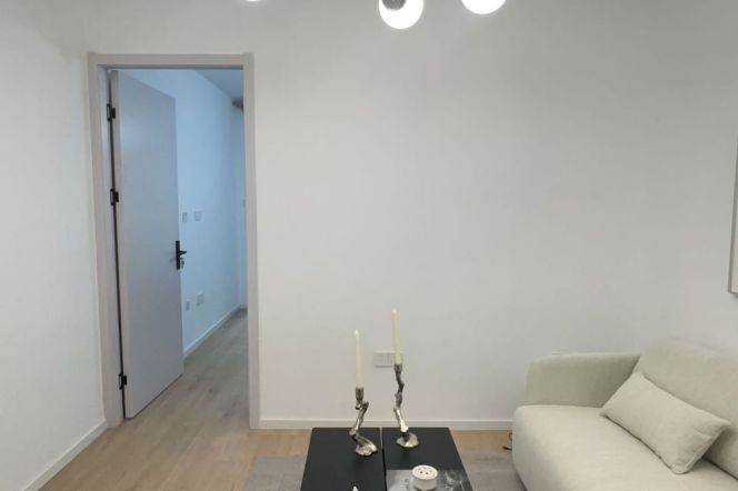 1BR Apartment near Caobao Rd Metro (L1/L12)