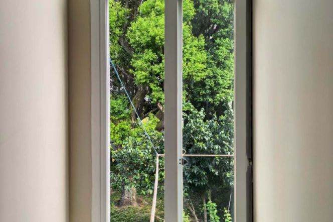 1BR Apartment in Old Xuhui
