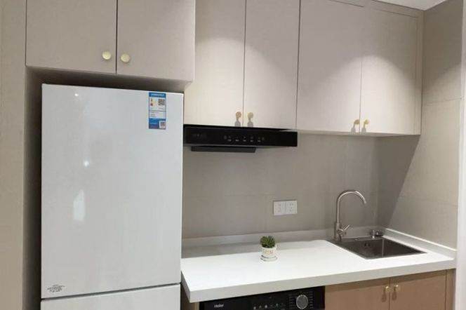 1BR Apartment near Caoyang Road Metro (L3/L4/L11/L13/L14)