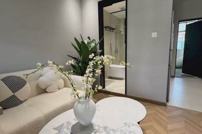 1BR Apartment in Old Xuhui (L1/L10/L12)