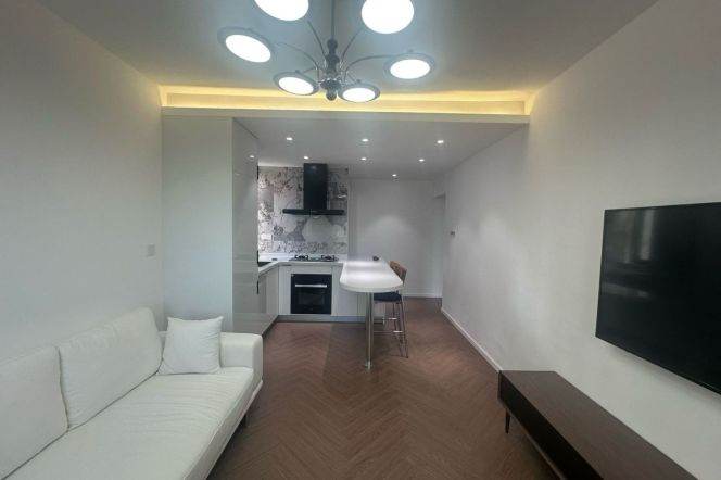 1BR Apartment near Jiaotong University Metro