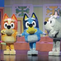 Bluey's Big Treasure Hunt