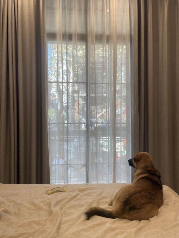 Housing image — Bedroom
