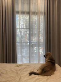 Housing image — Bedroom