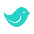 Content Operations Intern