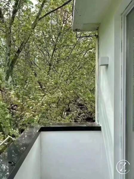 Housing image — Balcony