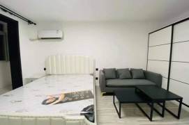 1BR Apartment near Dapuqiao Metro (L9)