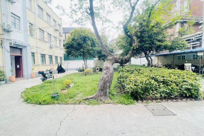 Spacious 2BR Apartment in Old Xuhui
