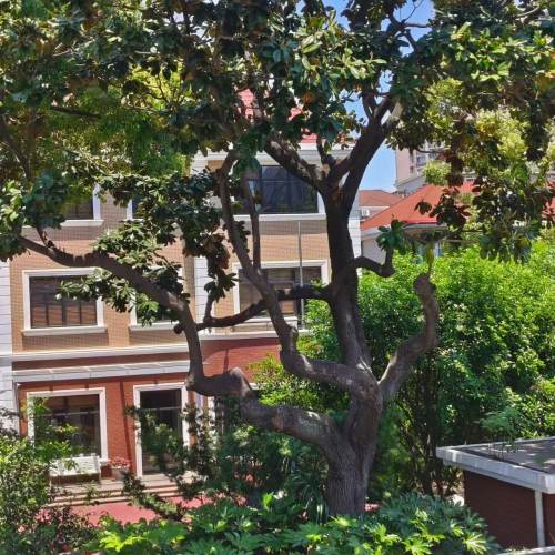 Housing image — View
