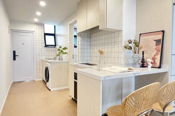 1BR Apartment in Xujiahui (L3/L4/L9)