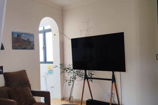 1BR Apartment in Old Xuhui (L1/L7)