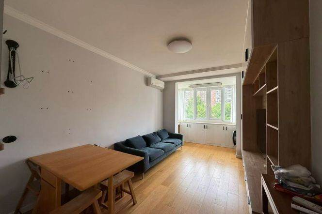 1BR Apartment in Xujiahui (L10/L11)