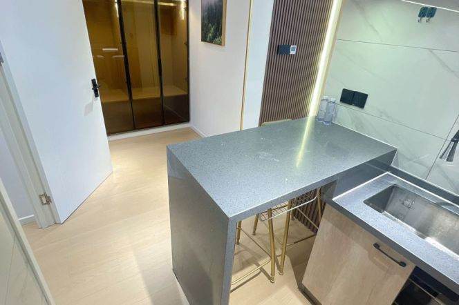 1BR Apartment near Zhongshan Park (L2/L11)