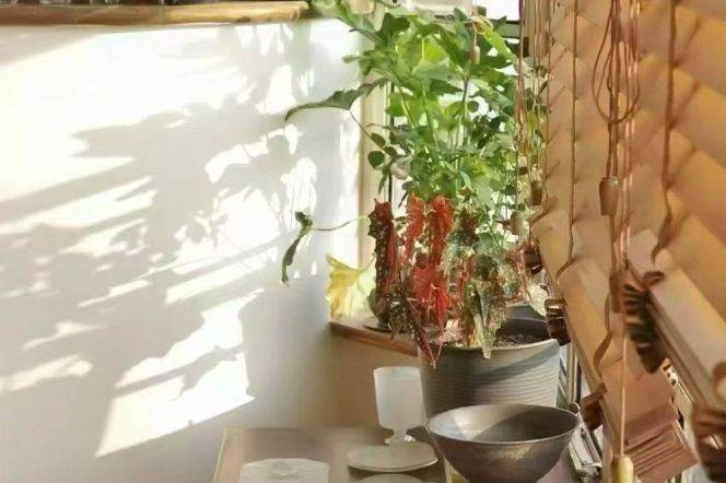 2BR Heritage Apartment in Old Xuhui (L1/L7)