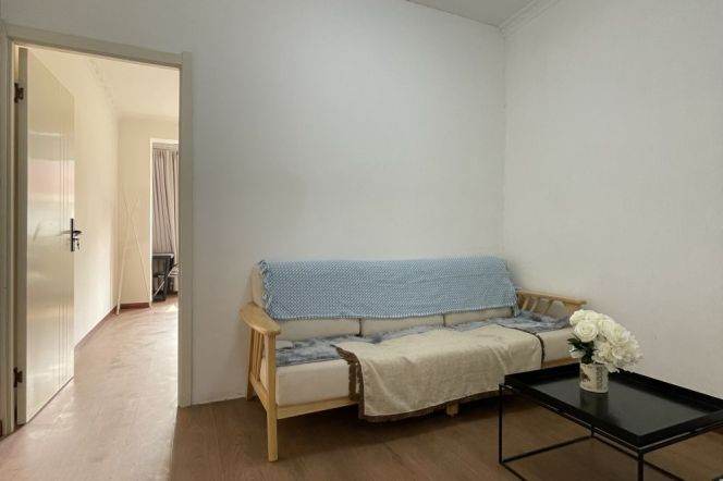 1BR Apartment near Longhua Metro (L7/L12)