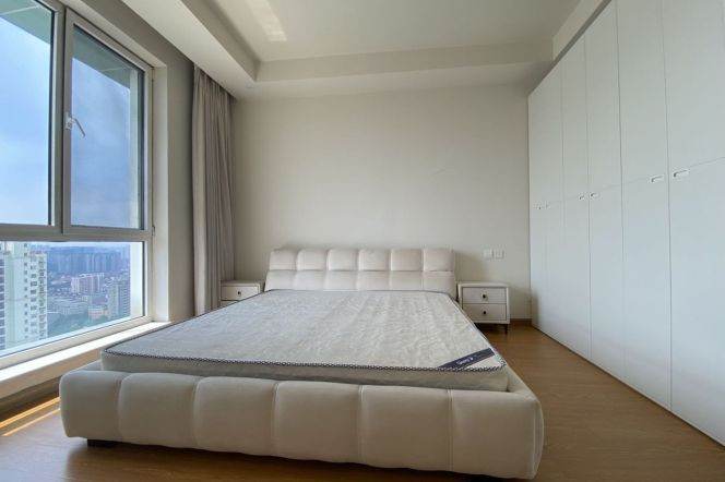 High-Floor Spacious 1BR Apartment near Dapuqiao Metro (L9/L12)