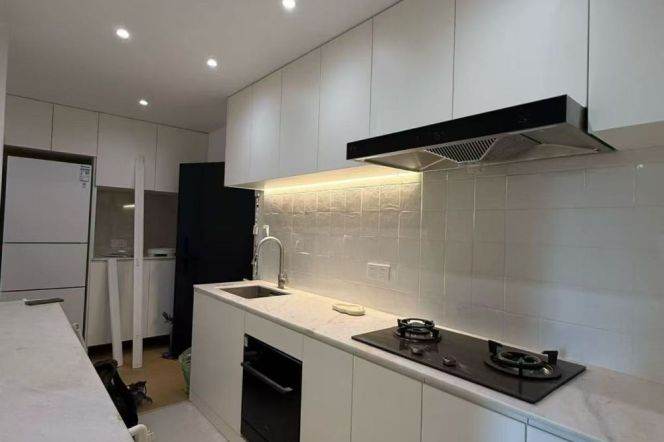 2BR Apartment in Xujiahui (L1/L9/L11)