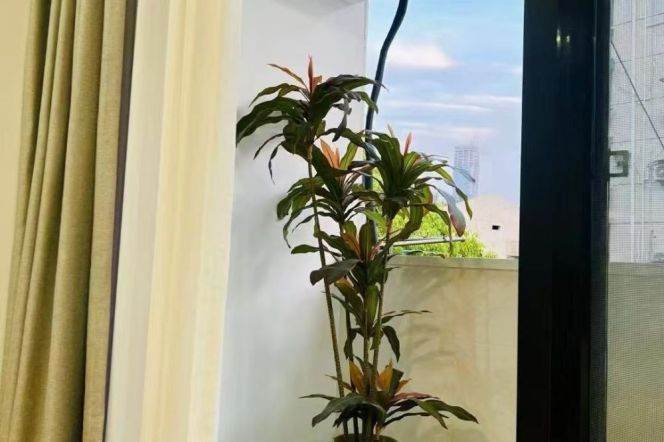 1BR Apartment near West Yan'An Rd Metro (L3/L4)