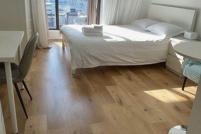 1BR Apartment in Old Xuhui (L9/L12)