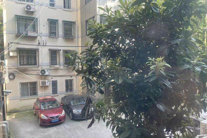 1BR Apartment in Old Xuhui