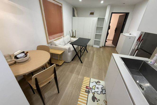 1BR Apartment near Nanjing Xi Lu (L2/L12/L13)