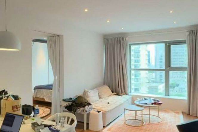 1BR Apartment at 8 Park Avenue (L7)