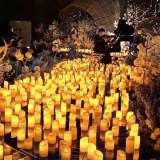 Piano, Violin & Cello Candlelight Concert: La La Land and Piano on the Sea