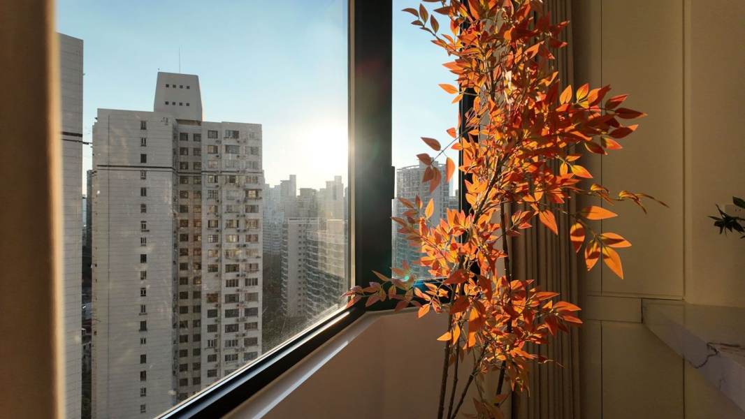 Housing image — Balcony