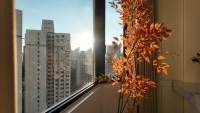 Housing image — Balcony