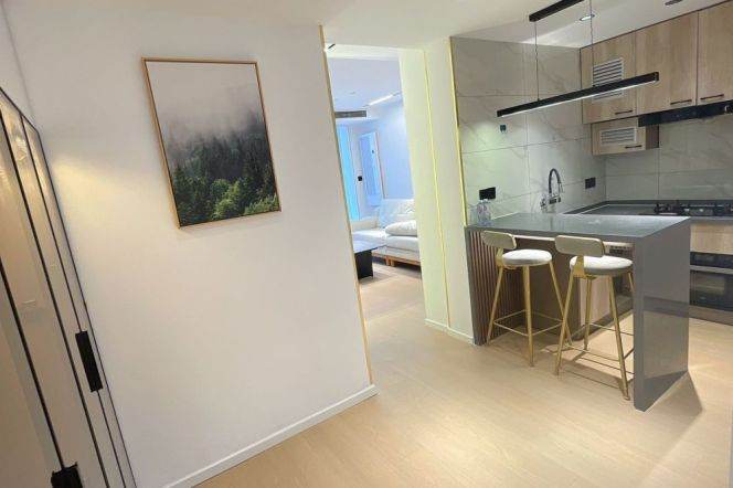 1BR Apartment near Zhongshan Park (L2/L11)