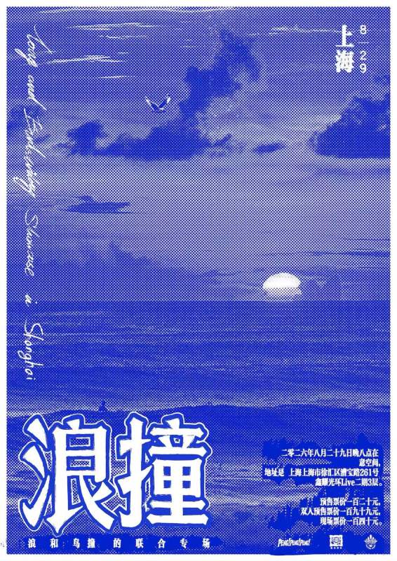 Wave, Birdstriking