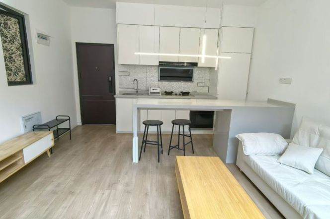 2BR Apartment near South Huangpi Road Metro (L1/L13/L14)