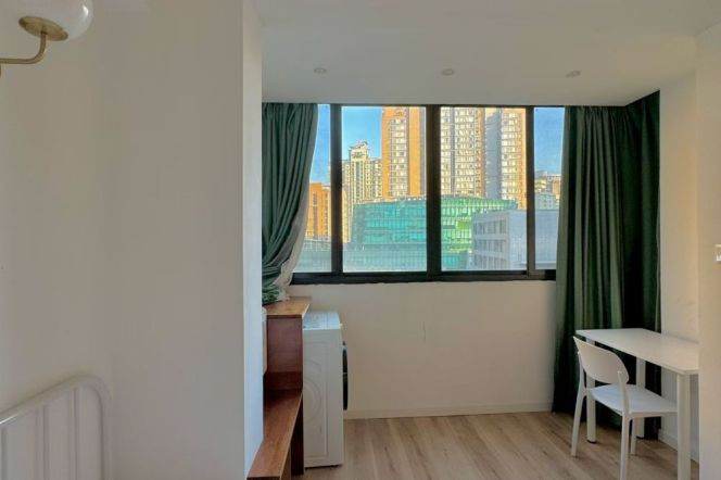 1BR Apartment in Xujiahui (L1/L9/L11)