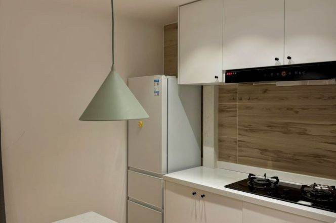 1BR Apartment in Xujiahui (L1/L9/L11)