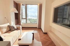 1BR Apartment near Linyi Xincun Metro