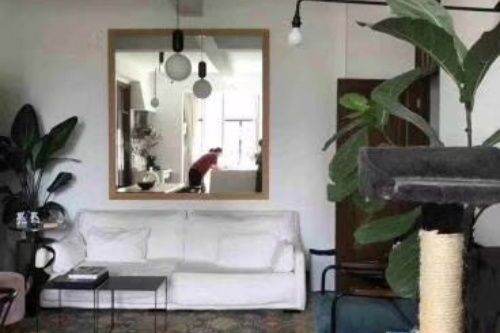 2BR Heritage Apartment in Old Xuhui