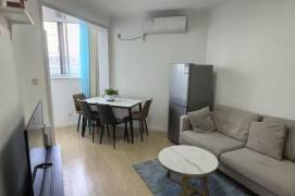1BR Apartment in Xujiahui (L1/L9/L11)