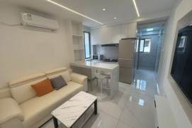 1BR Apartment in Suzhou Creek North (L3/L4/L7)