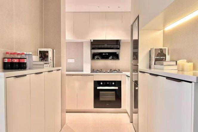 2BR Apartment near South Xizang Rd Metro (L4/L8/L13)