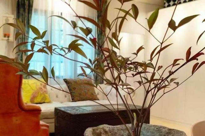 Spacious 1BR Lane House in Old Xuhui (L10)