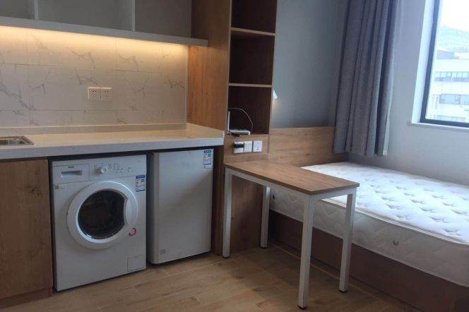 1BR Apartment near Fudan University (Handan Lu Campus) (L3)