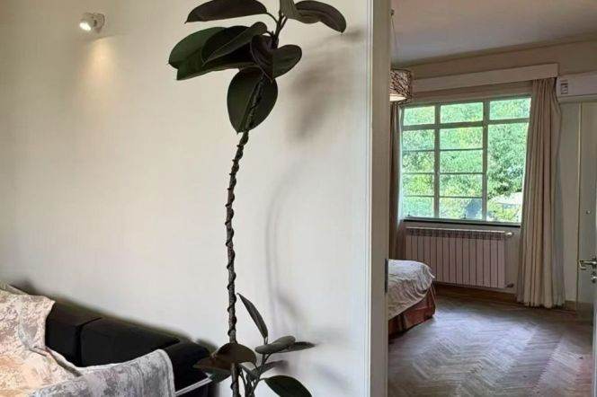 Spacious 2BR Apartment at Huaye Unit (L2/L12/L13)