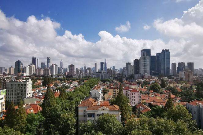 Spacious 1BR Apartment in Old Xuhui (L1/L7)